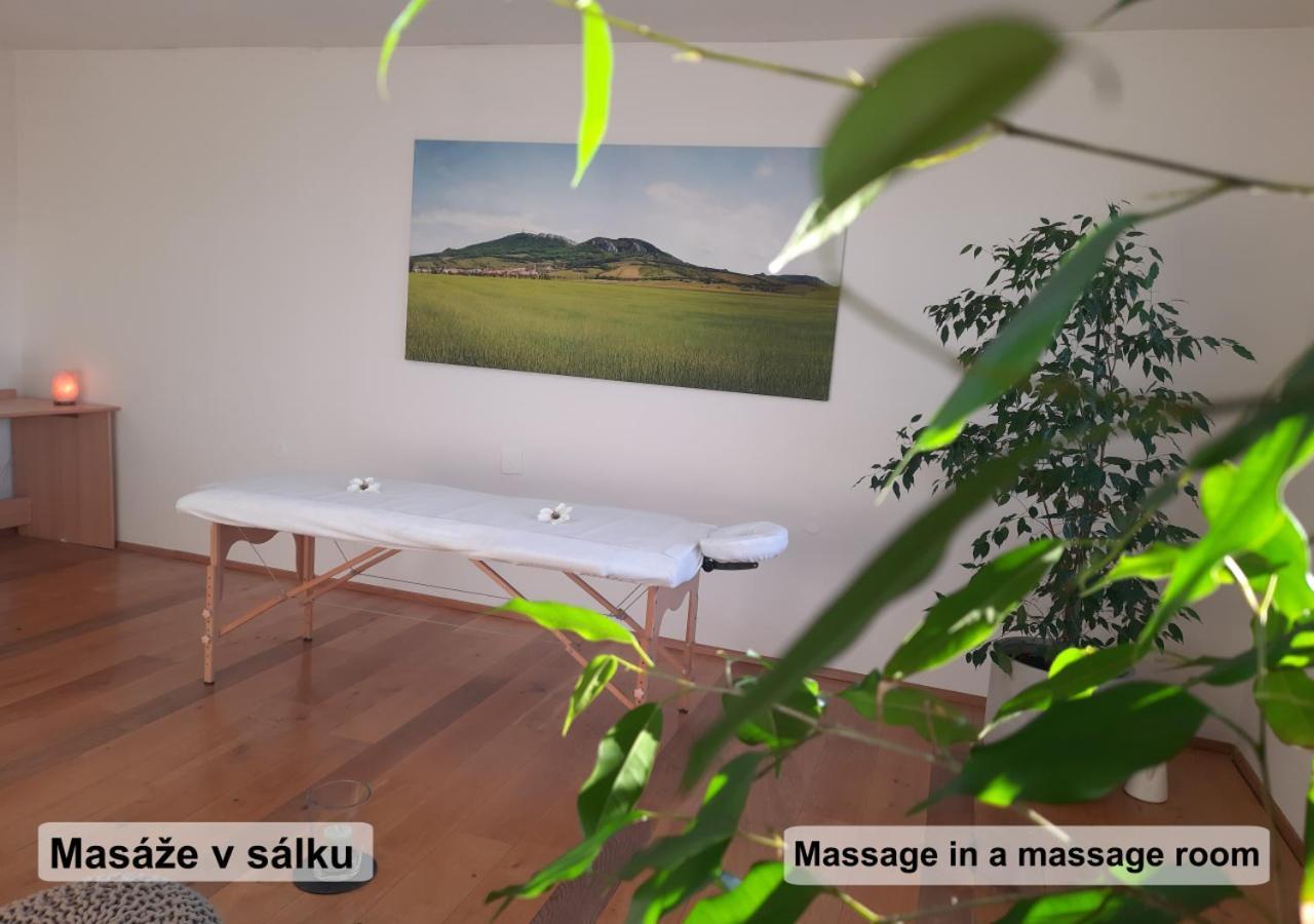 Apartman Vital Na Palave - Ubytovani & Zivotni Restart Pasohlávky Eksteriør billede